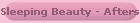 Sleeping Beauty - Aftershow Party